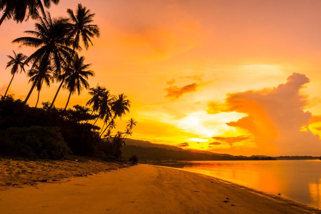 beautiful-outdoor-view-ocean-beach-with-tropical-coconut-palm-tree-sunrise-time