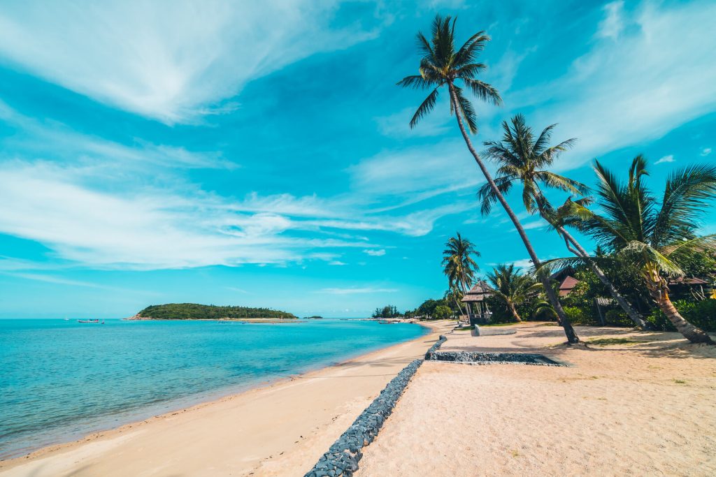 beautiful-tropical-beach-sea-sand-with-coconut-palm-tree-blue-sky-white-cloud